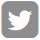 Twitter Icon Grey
